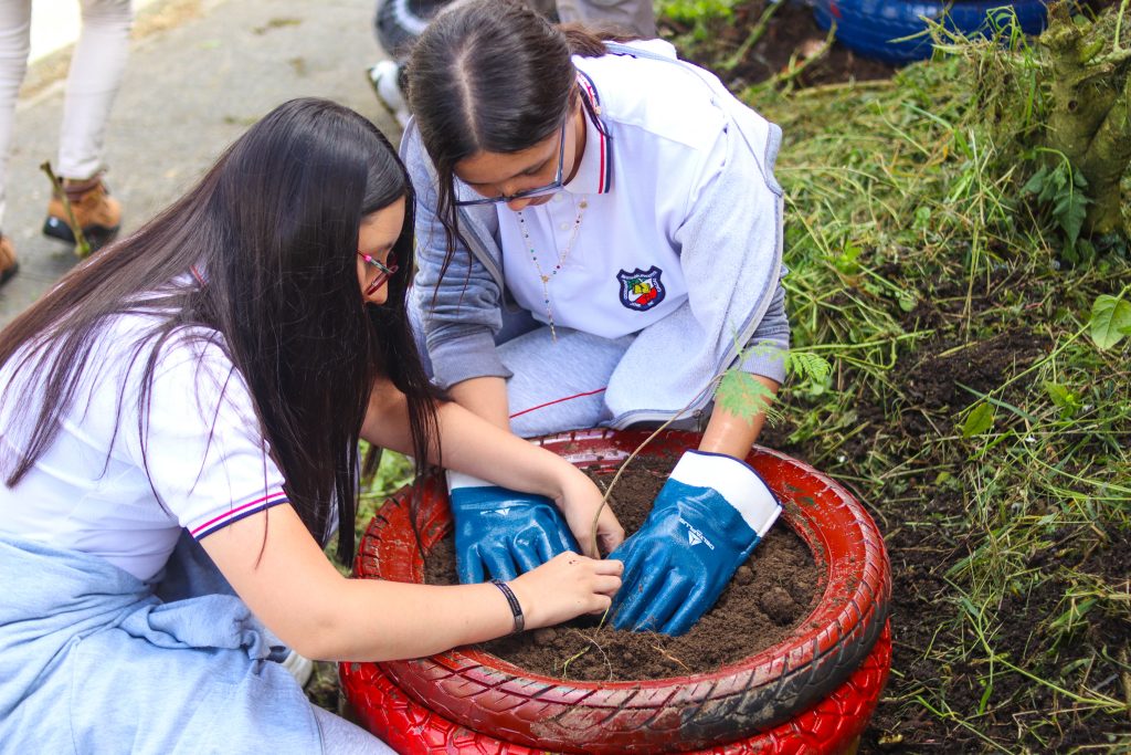 Dos niñas jovenes sembrando un arbol