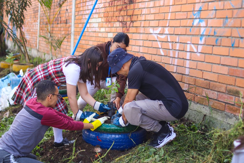 4 personas sembrando un arbol