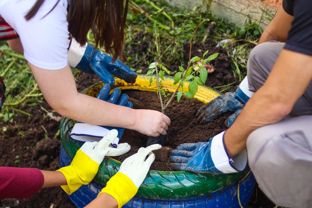 Jovenes sembrando un arbol