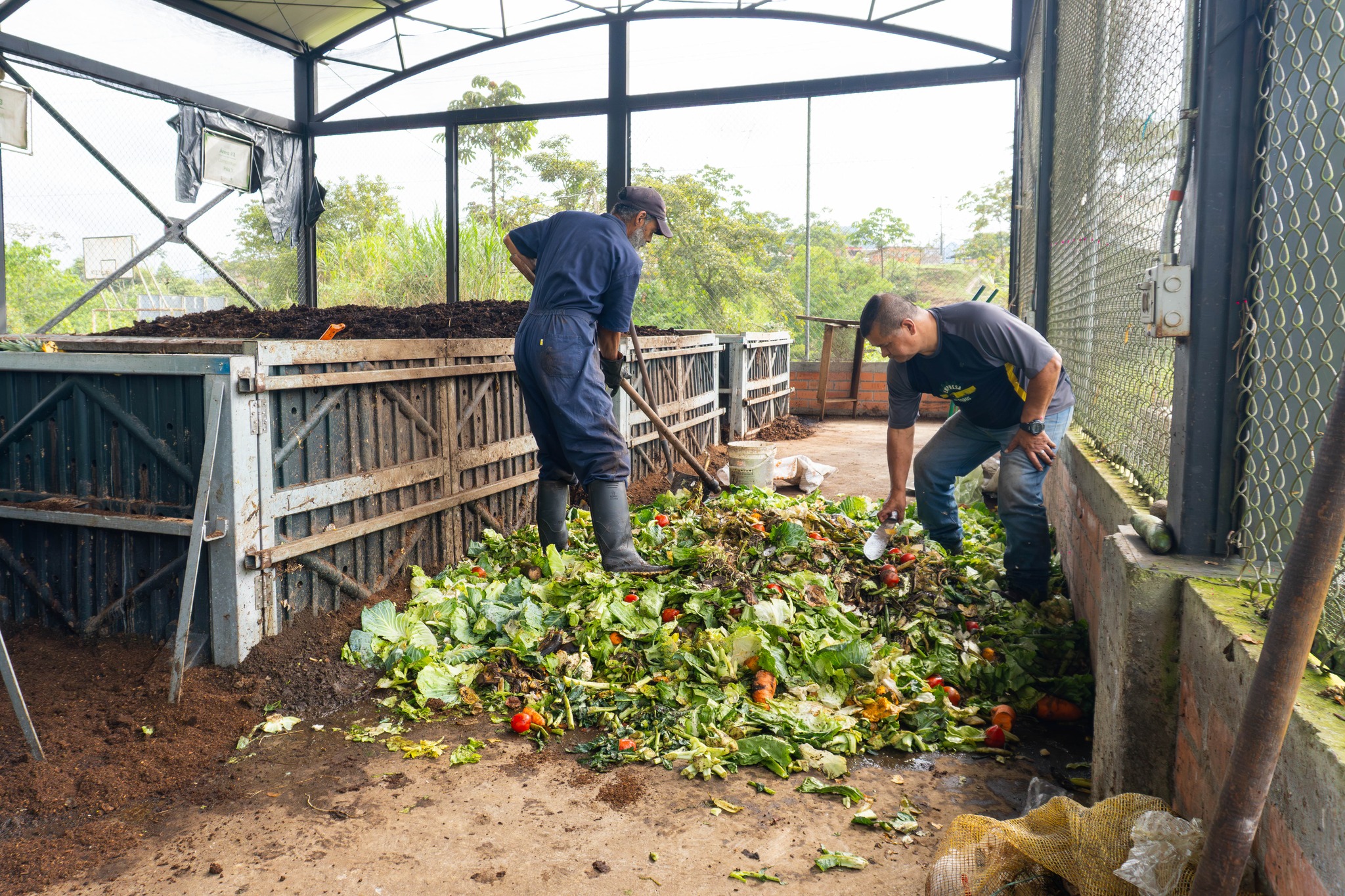 Dos hombres manipulando residuos organicos